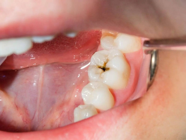 photo_2026-04-02_09-45-33