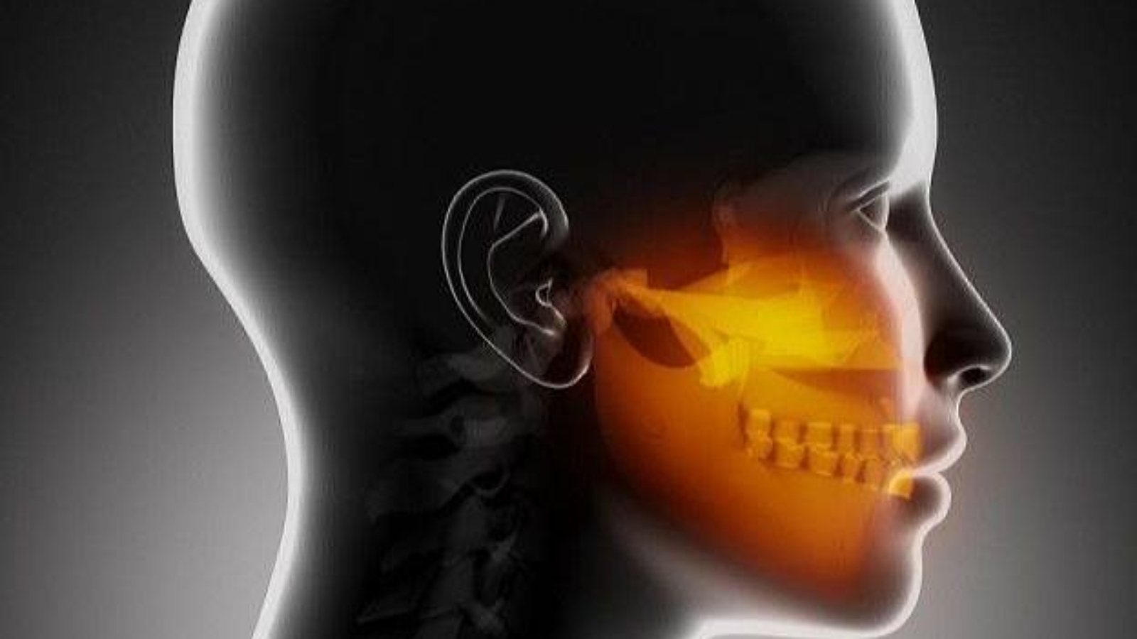 photo_2026-04-03_11-31-52