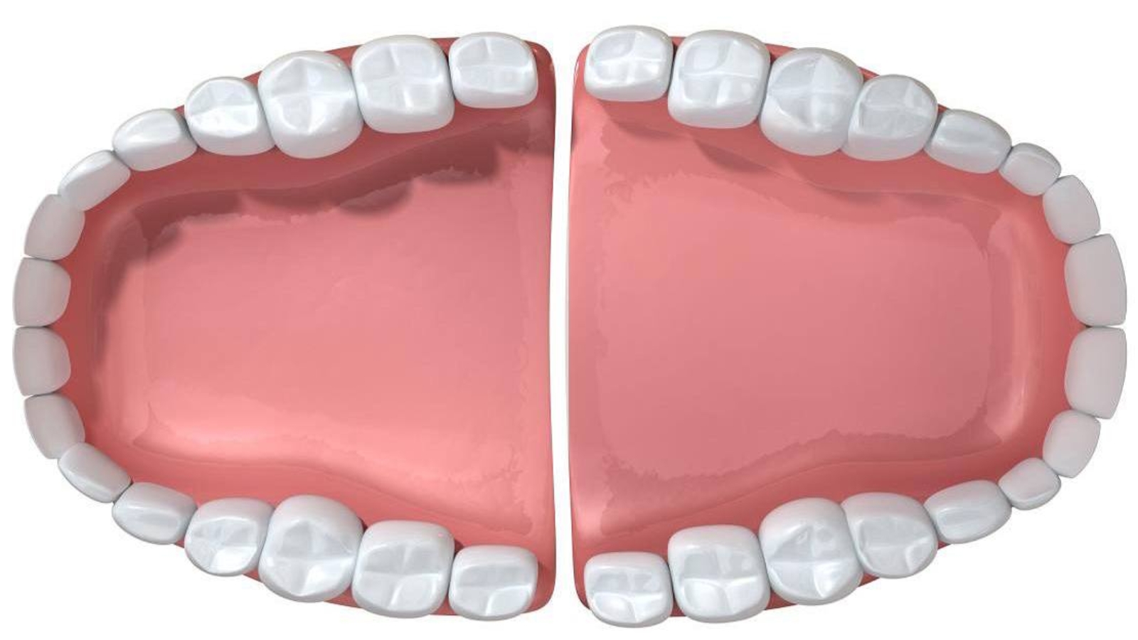 photo_2026-04-03_11-32-01