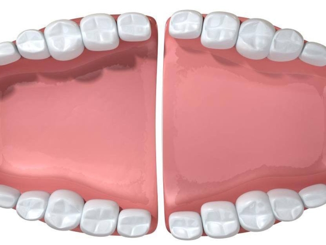 photo_2026-04-03_11-32-01