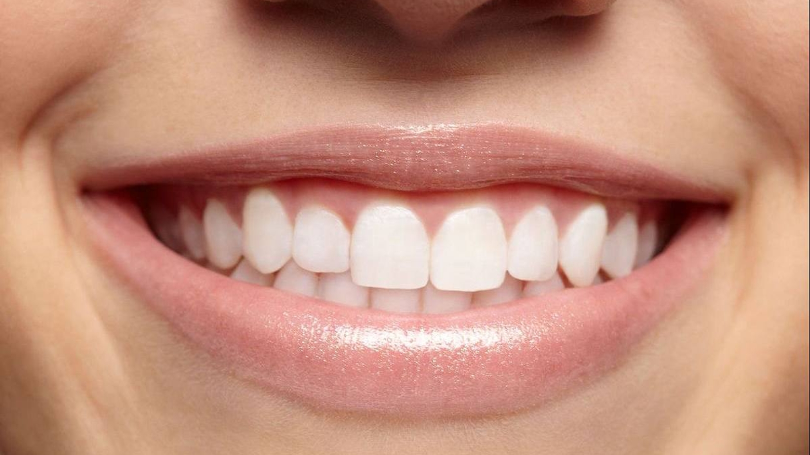 photo_2026-04-03_11-32-09