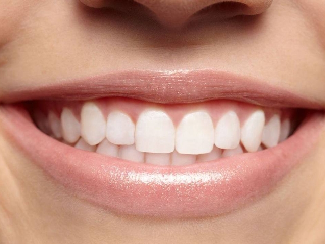 photo_2026-04-03_11-32-09