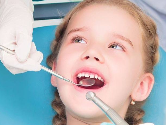 photo_2026-04-09_11-37-34