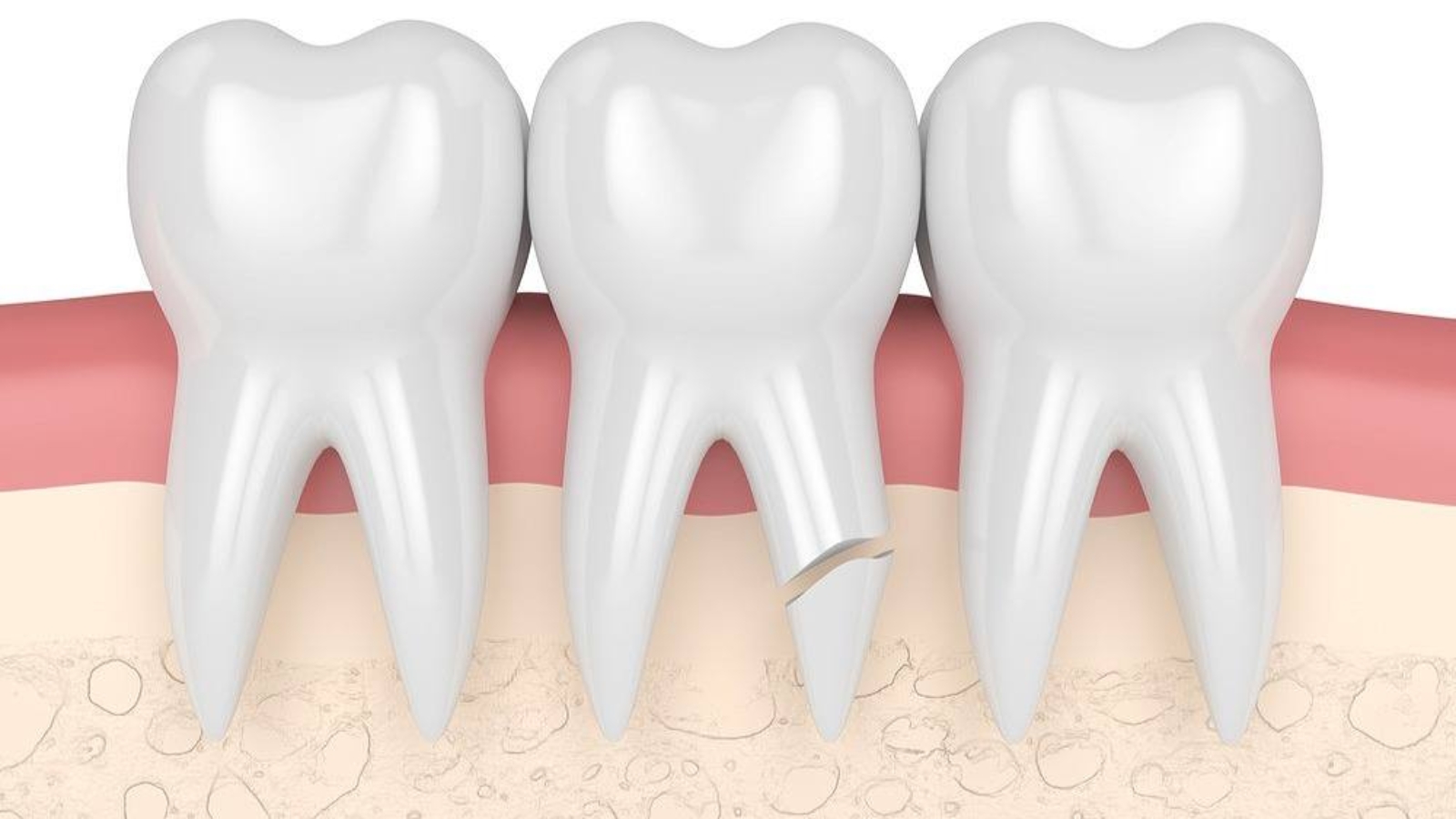 photo_2026-04-10_11-58-56