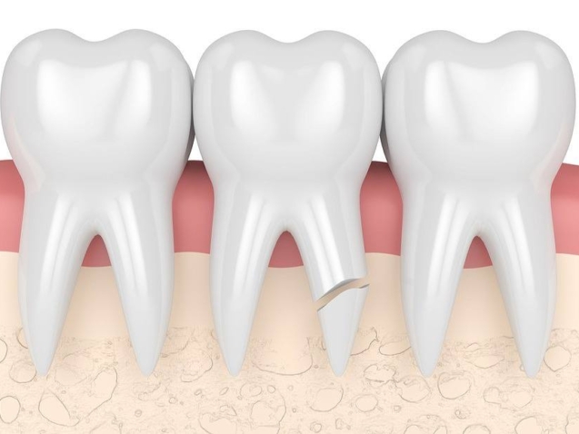 photo_2026-04-10_11-58-56