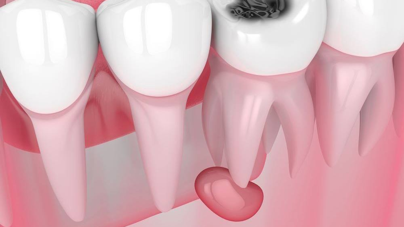 photo_2026-04-13_10-19-01