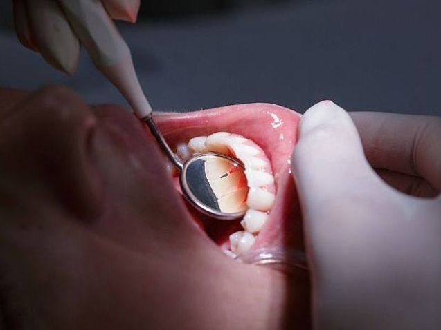 photo_2026-04-13_10-19-09