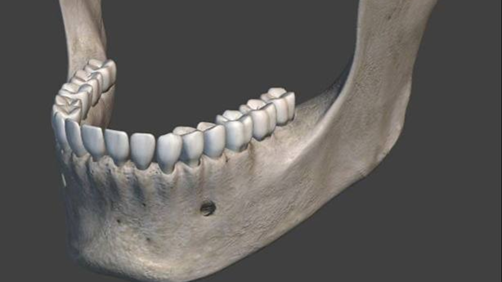 photo_2026-04-14_11-16-14