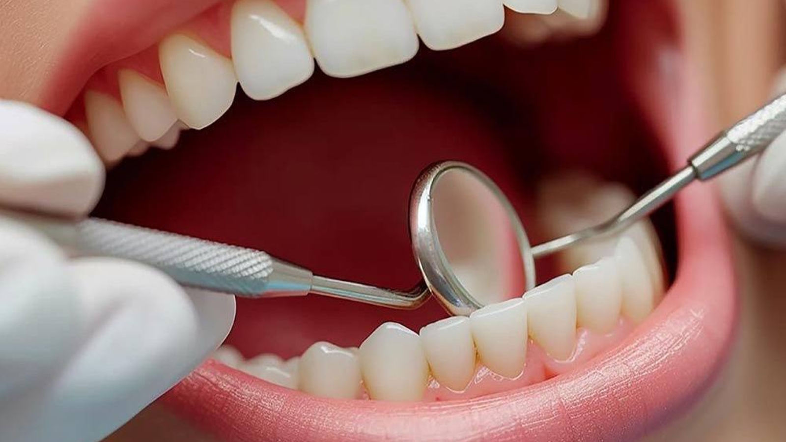 photo_2026-04-14_11-17-03