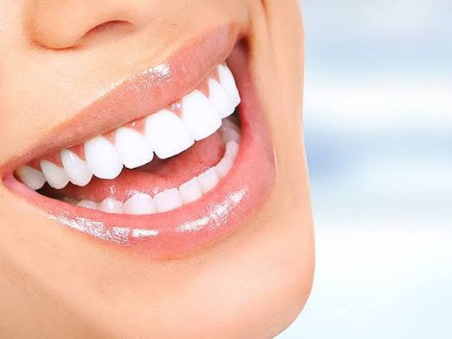 photo_2026-04-22_10-43-35