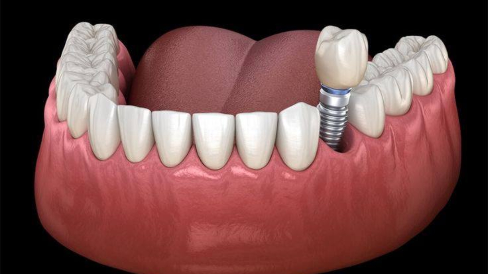 photo_2026-04-24_12-24-50