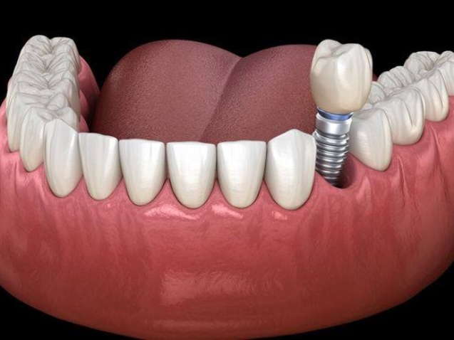 photo_2026-04-24_12-24-50