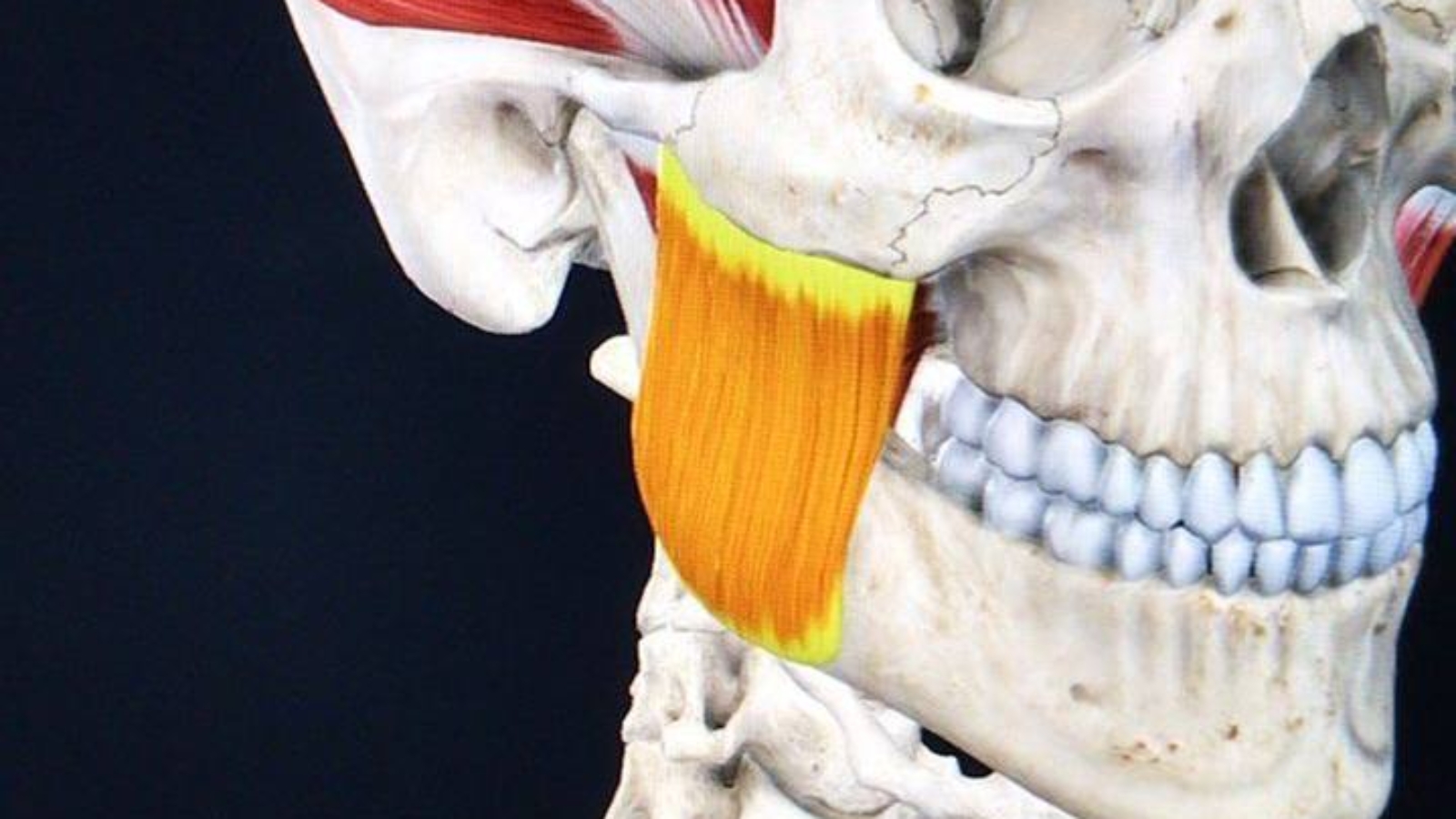 photo_2026-04-24_12-25-11