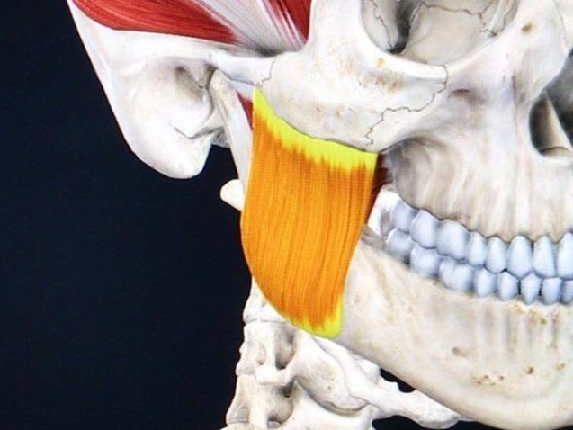 photo_2026-04-24_12-25-11