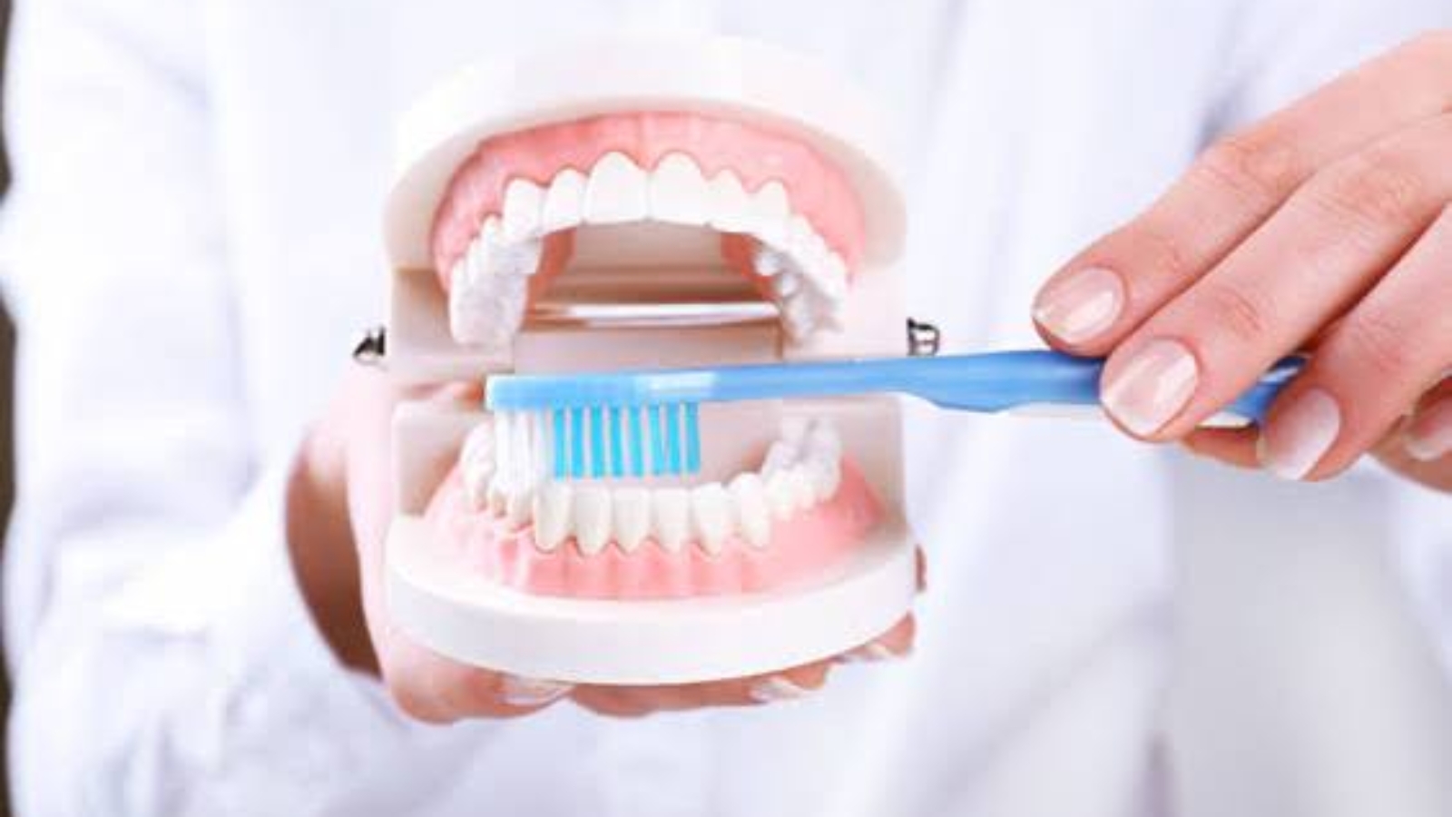 photo_2026-04-27_11-43-04