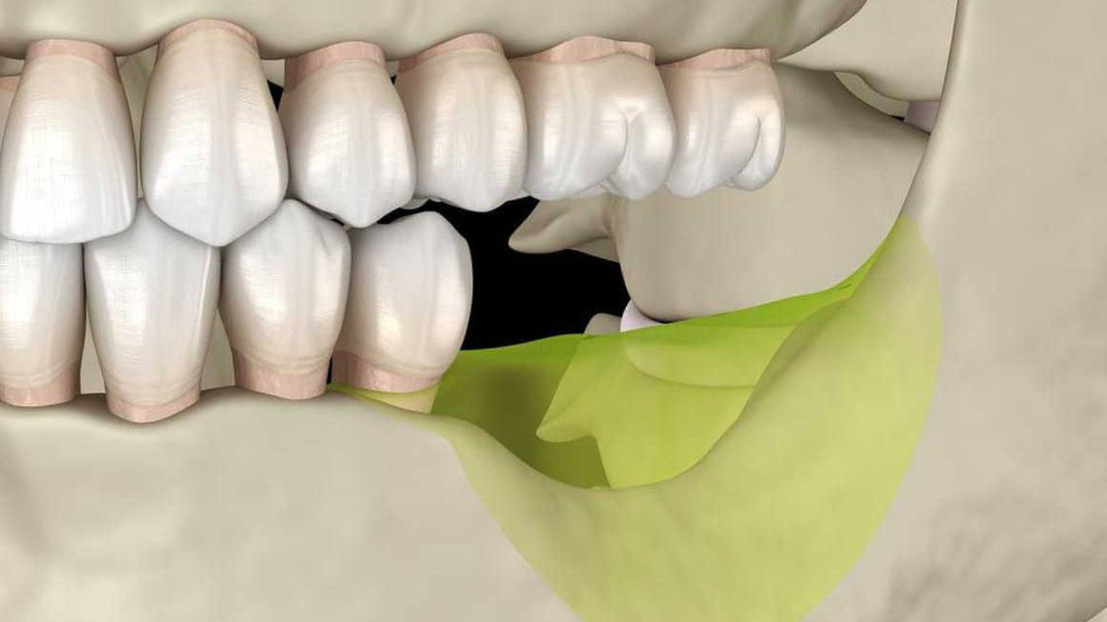 photo_2026-04-29_11-04-19