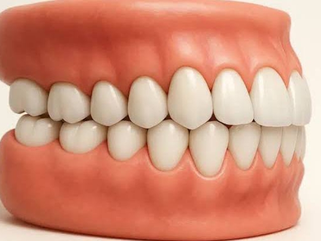 photo_2026-04-29_11-04-25